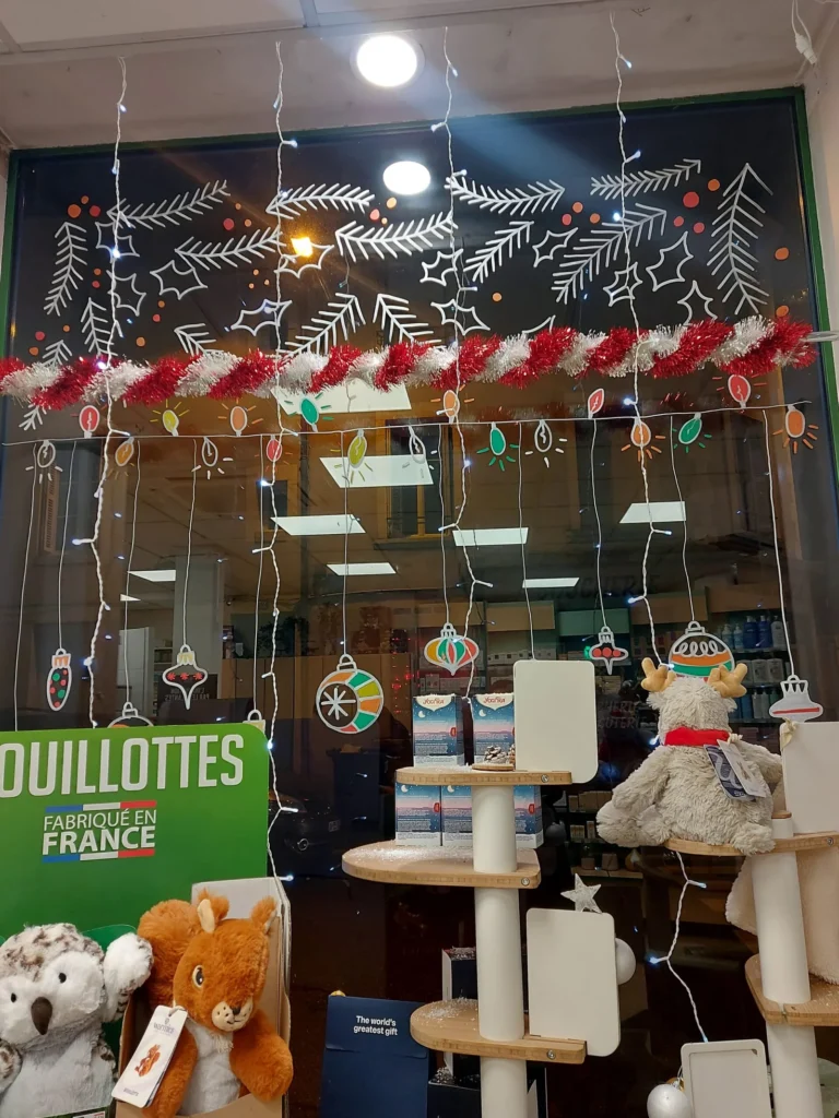 décoration, vitrines, dessin, illustration, noël, graphiste, agence de communication, Tours