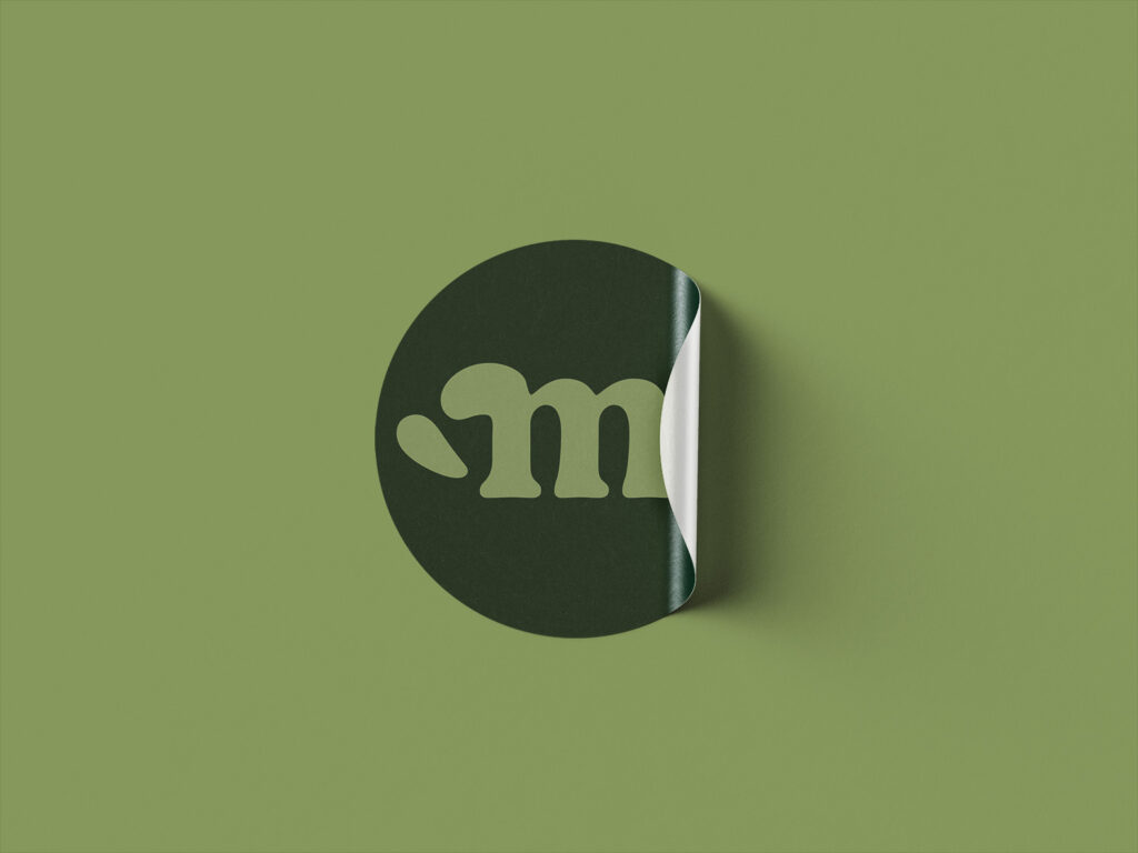 logo identité visuelle création charte graphique agence de communication graphiste Tours canva Touraine
