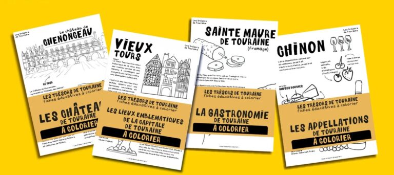 Idée, produit, création complète, illustration, création graphique, des motifs graphiques identitaires, gamme illustrée, graphisme, graphiste, agence de communication, Tours.