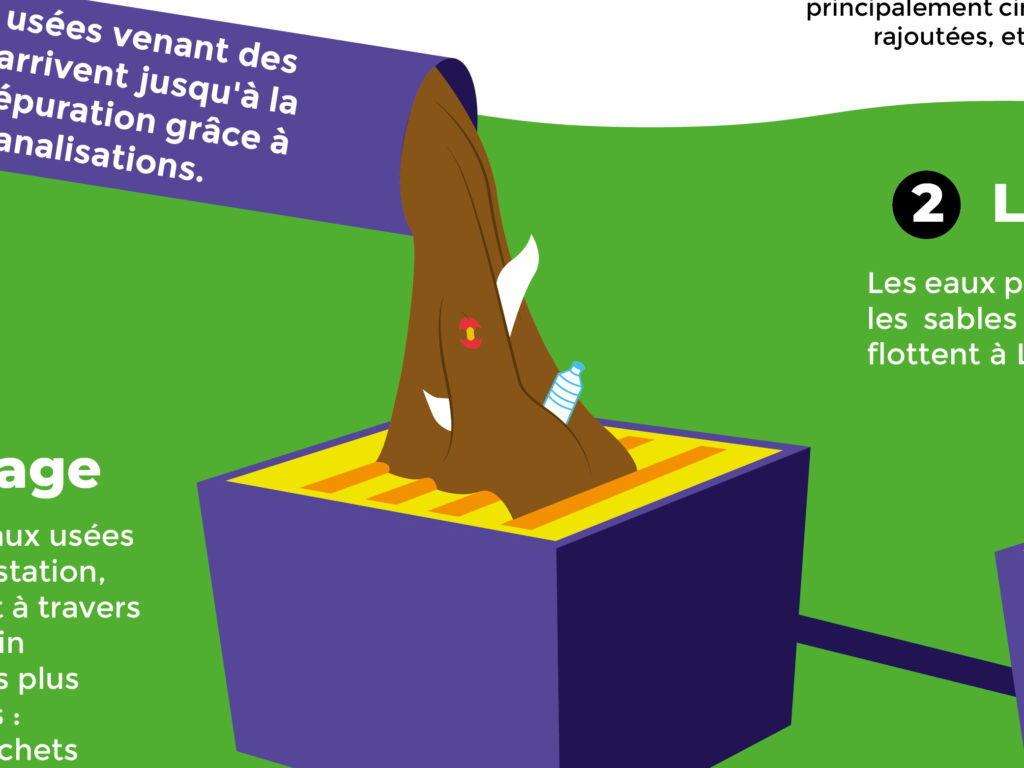 recreasciences bache vulgarisation science graphisme graphiste illustration