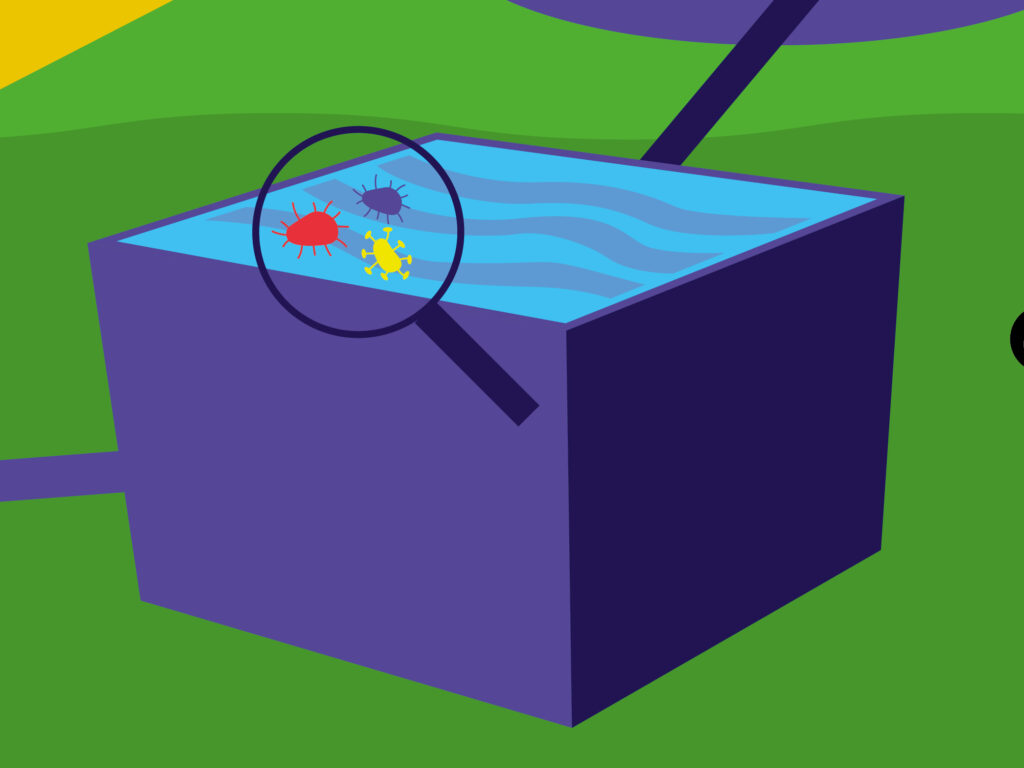 recreasciences bache vulgarisation science graphisme graphiste illustration