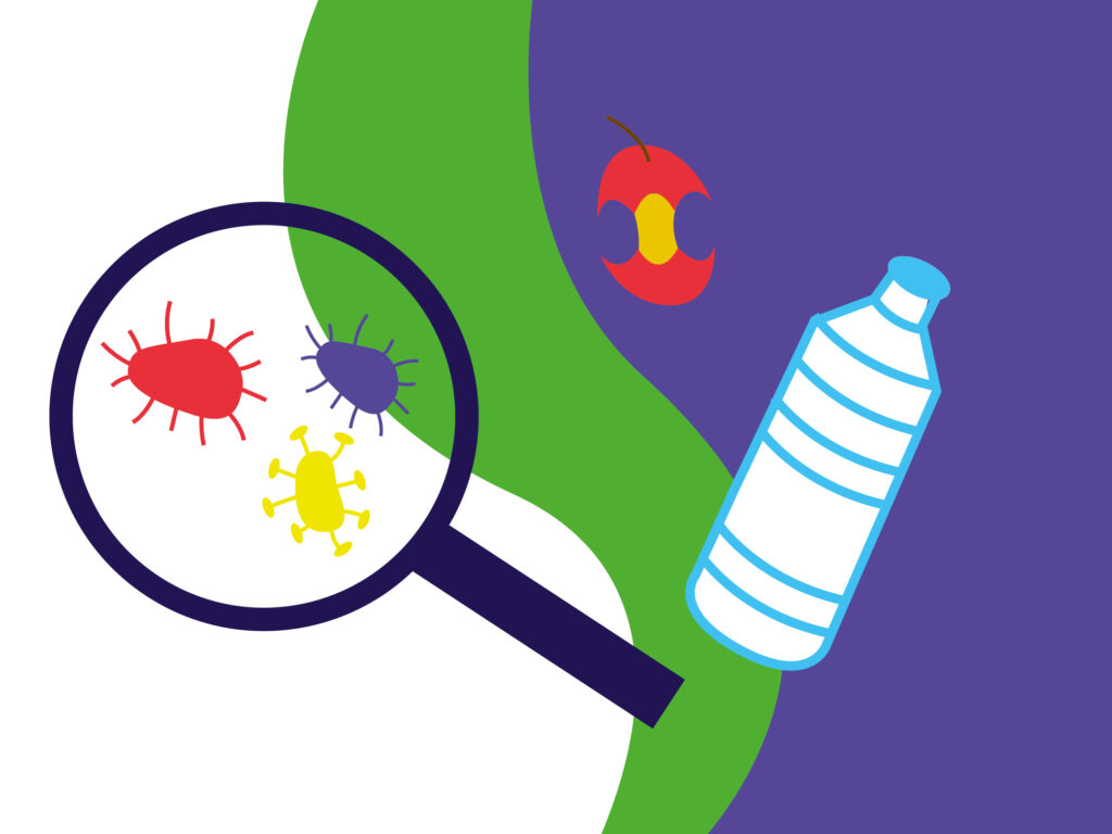 recreasciences bache vulgarisation science graphisme graphiste illustration